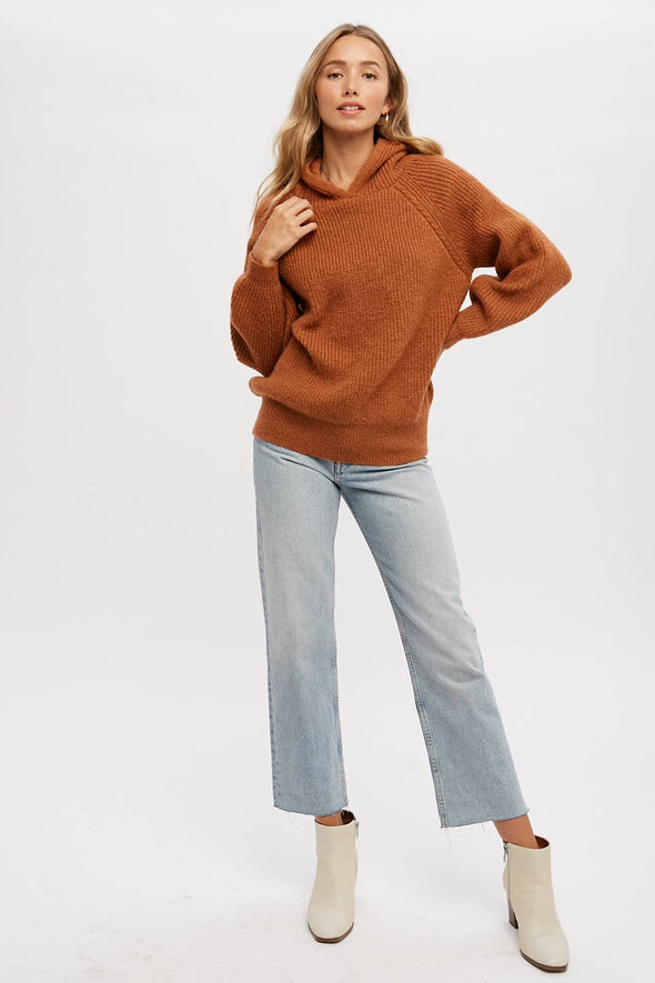 Pumpkin Sweater Hoodie