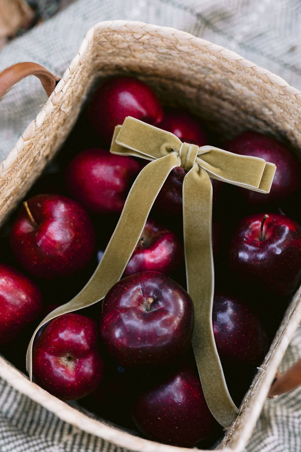 Alice Velvet Hair Bow Barrette