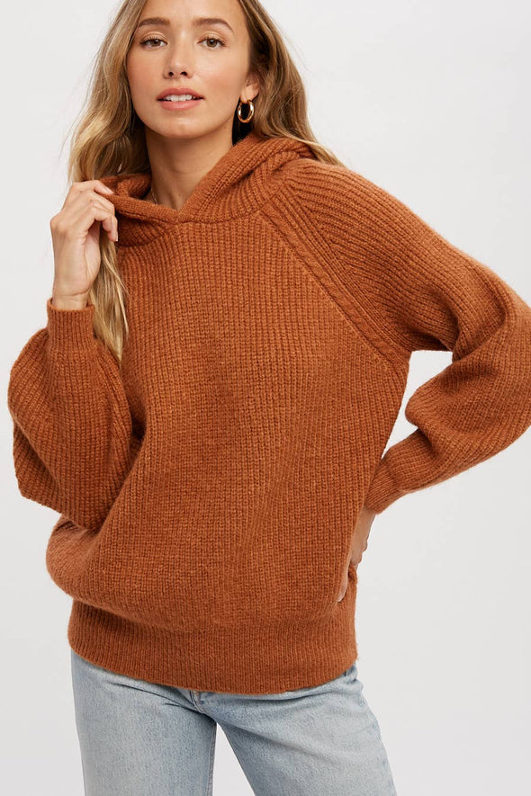 Pumpkin Sweater Hoodie
