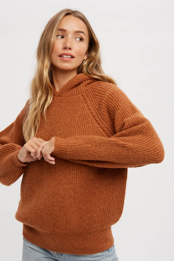 Pumpkin Sweater Hoodie