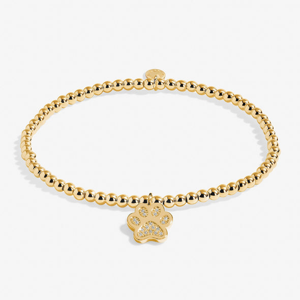 A Little 'Love Has Four Paws' Bracelet