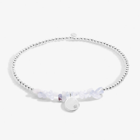 Blue Agate Anklet