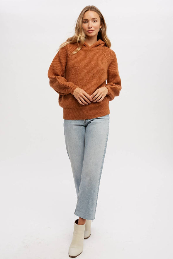 Pumpkin Sweater Hoodie